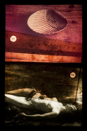 08_DESDIDÁTICA - 75 x 50 cm - 2018