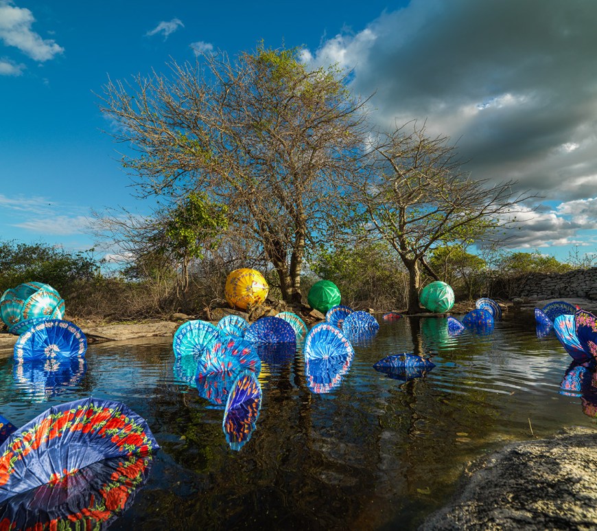 Delson Uchôa, série Bicho da Seda, 2014