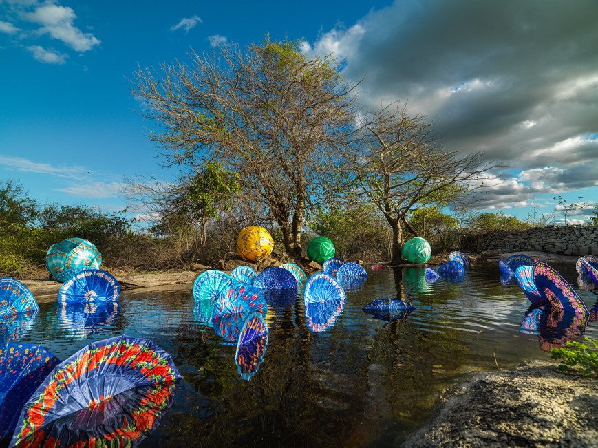 Delson Uchôa, série Bicho da Seda, 2014